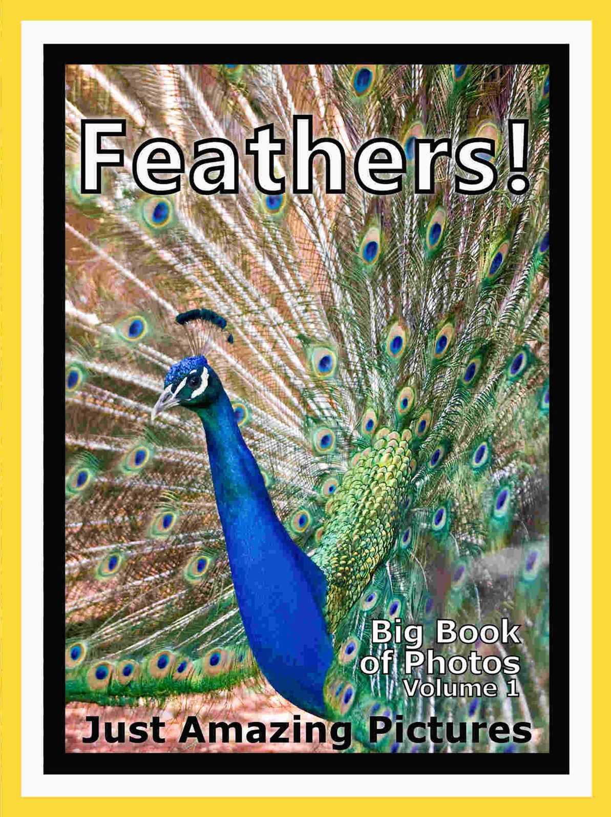 Just Feather Photos! Big Book of Photographs & Pictures of Feathers, Vol. 1