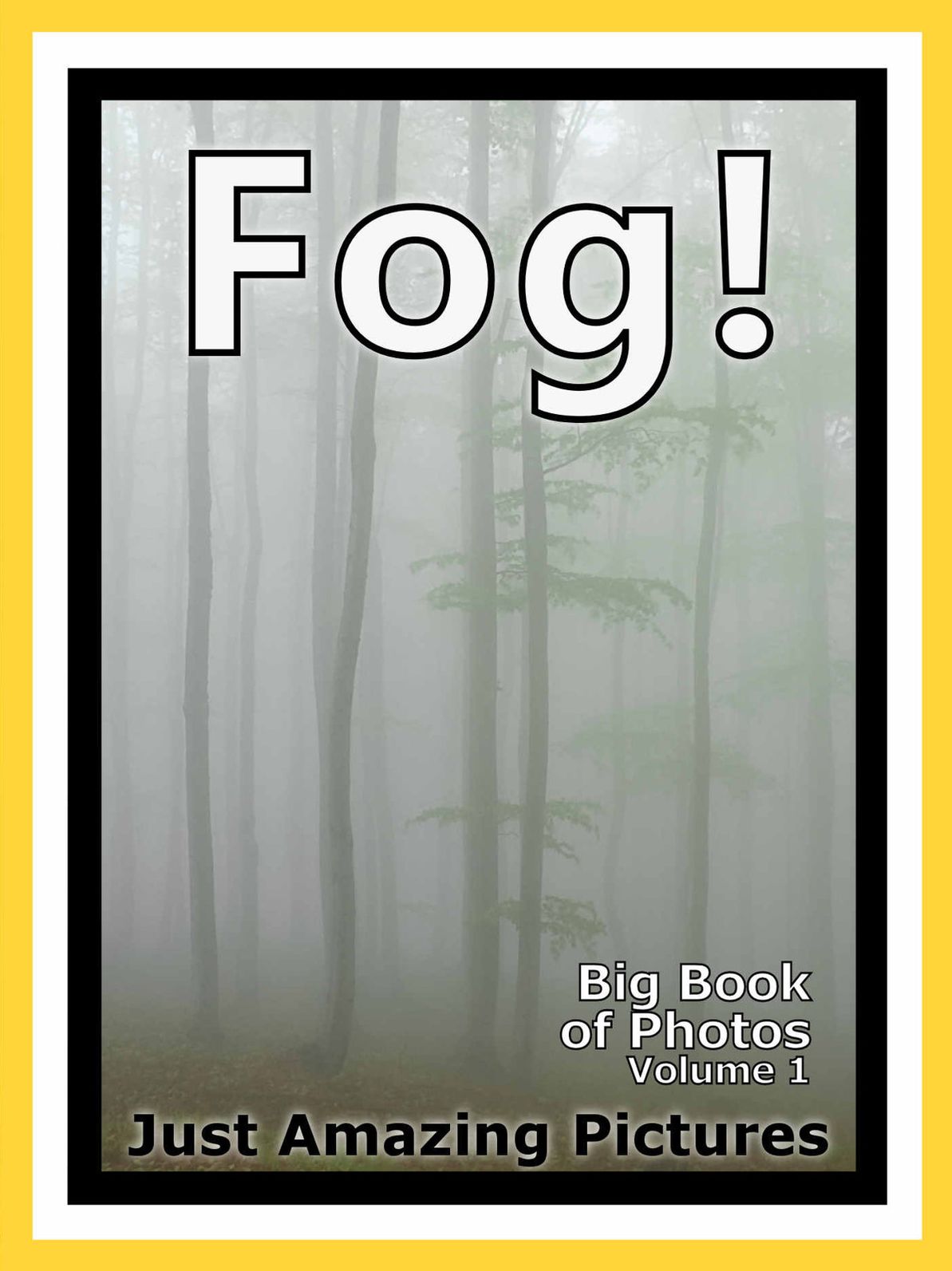 Just Fog Photos! Big Book of Photographs & Pictures of Foggy Mist, Vol. 1