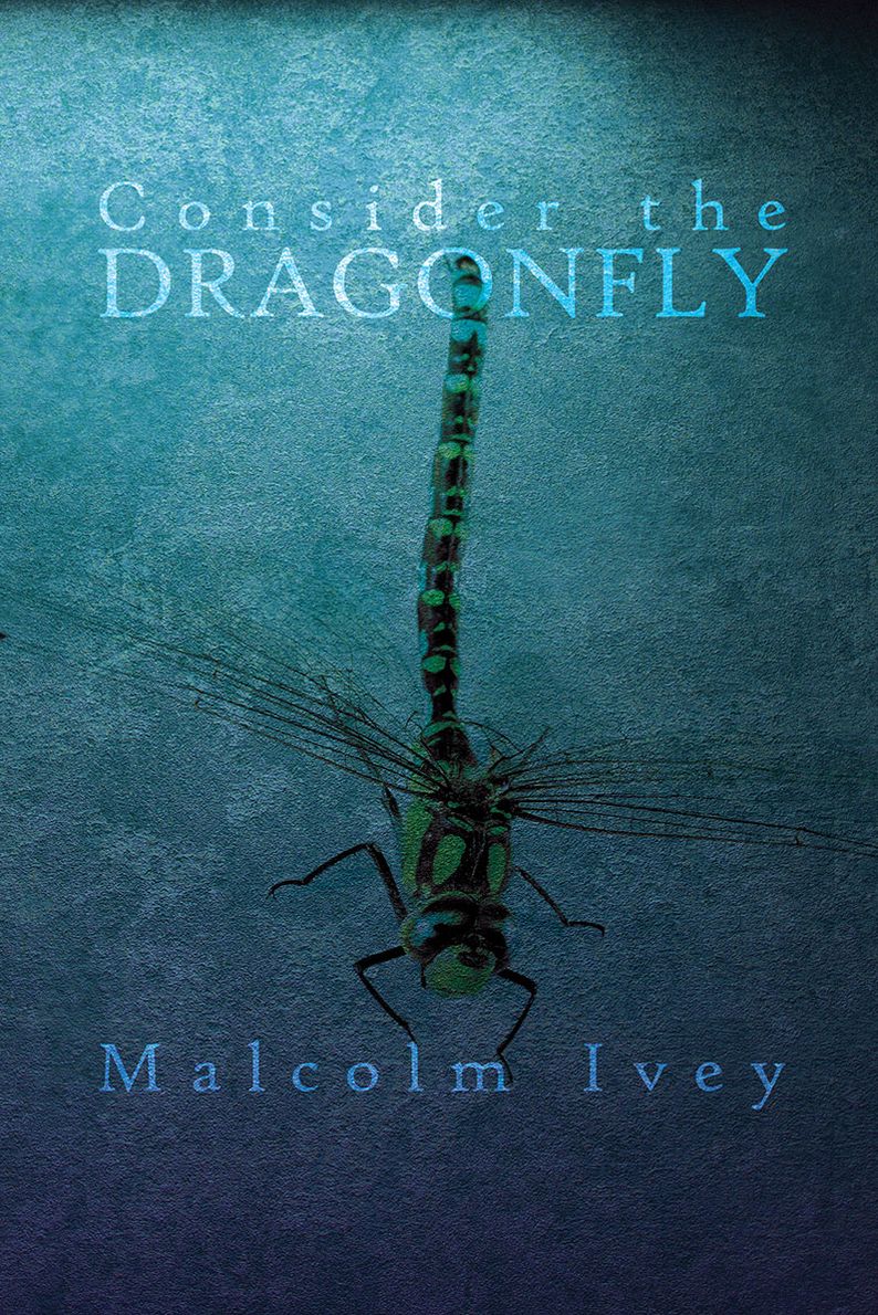 Consider the Dragonfly