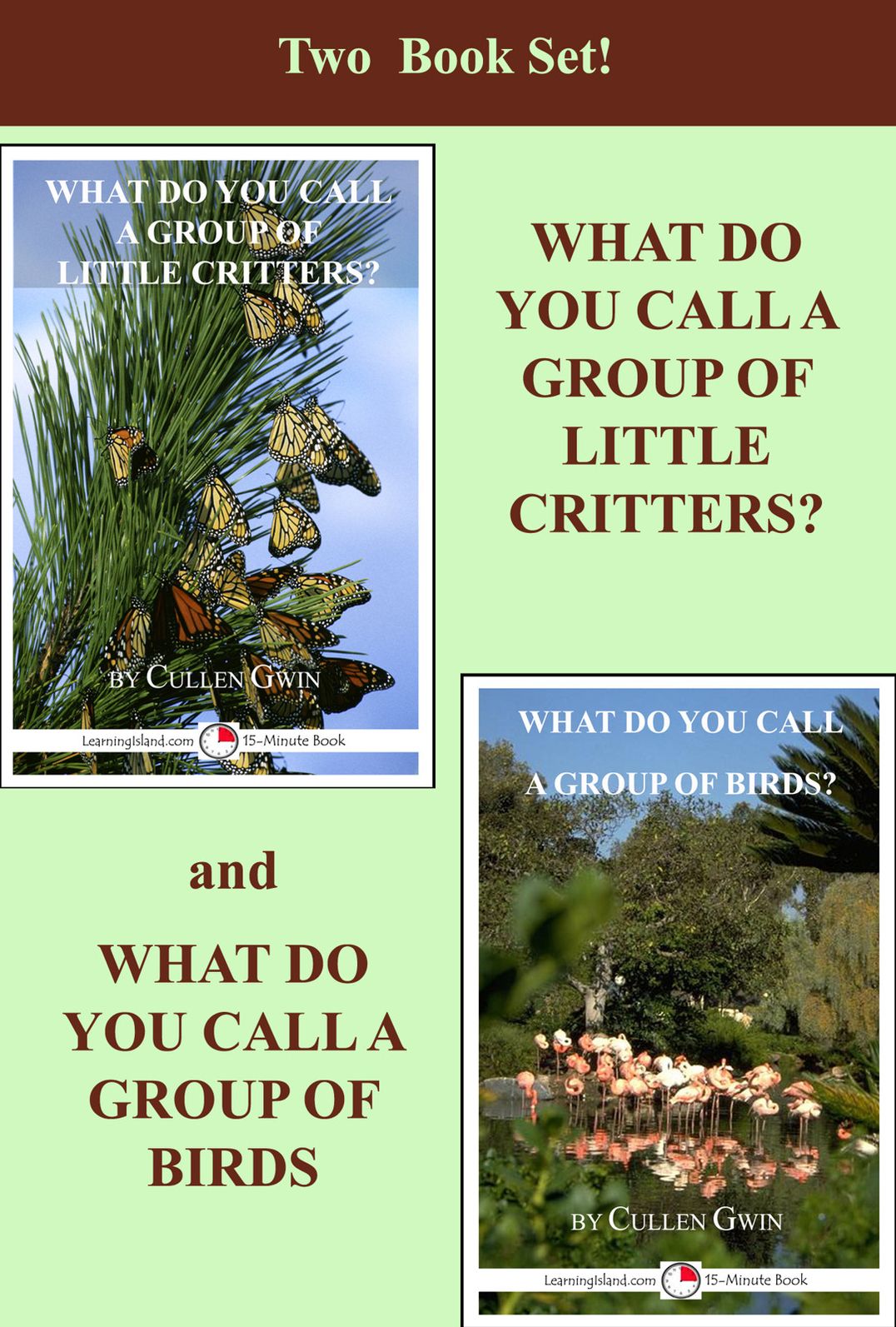 What Do You Call a Group…Two Book Set