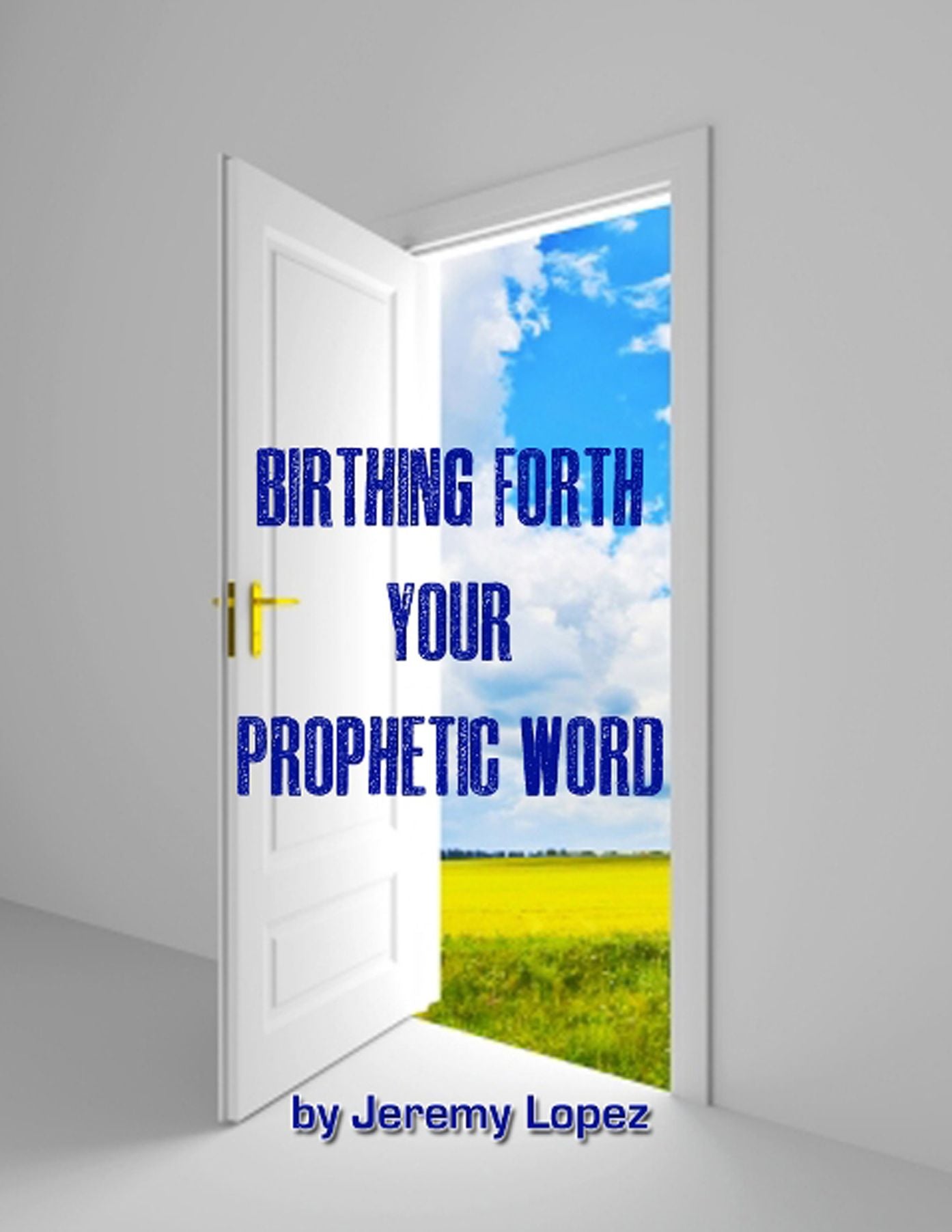 Birthing Forth Your Prophetic Word:How to Make your Prophecy Come to Pass
