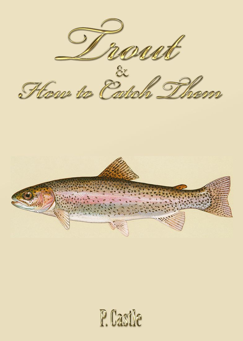 Trout and How to Catch Them
