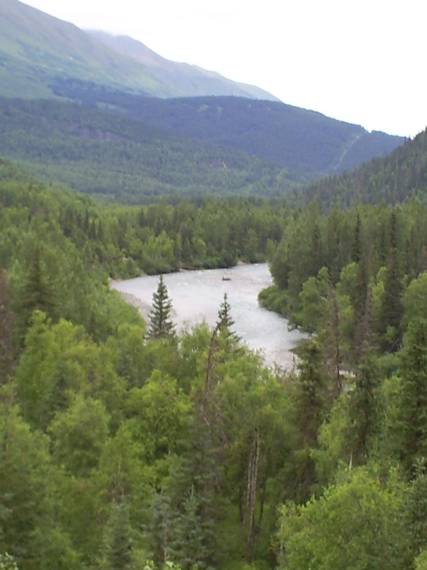 Out of the Wilderness: God's Reminders for the Discouraged