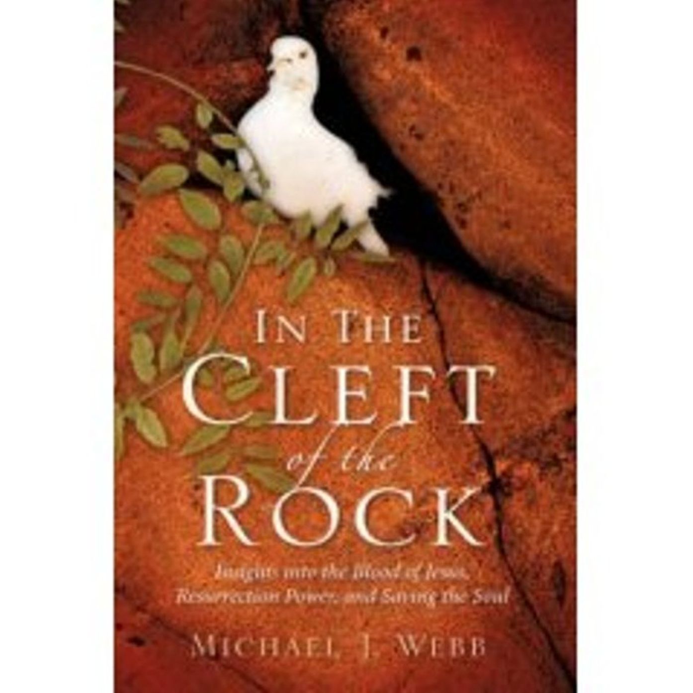 In the Cleft of the Rock: Insights into the Blood of Jesus, Resurrection Power, and Saving the Soul