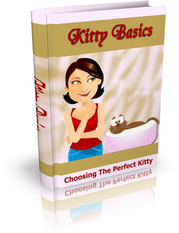 Choosing The perfect Kitty - Kitty Basics