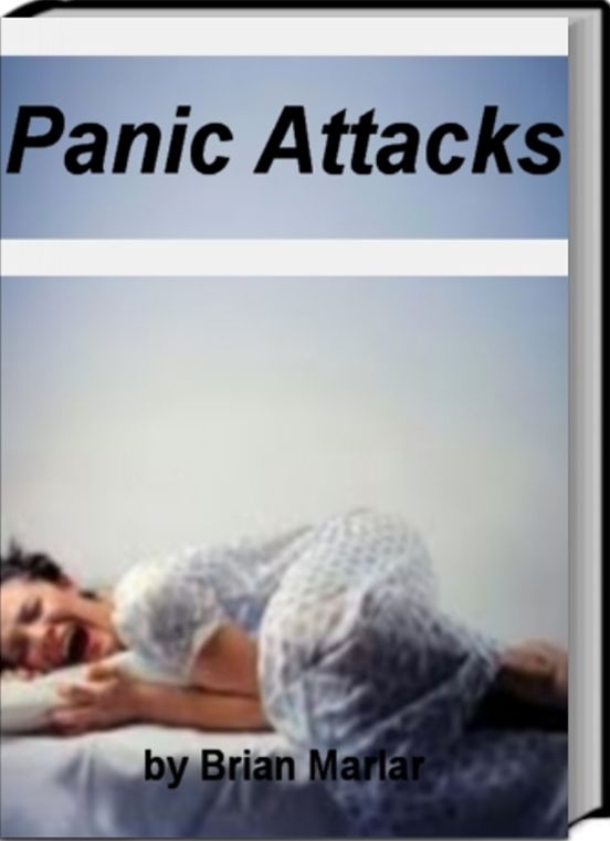 Panic Attacks: Recognizing, Understanding, Controlling & Preventing Panic Attacks, Phobias, Social Anxiety Disorder, Anxiety Disorders, Post-Traumatic Stress Disorder and More