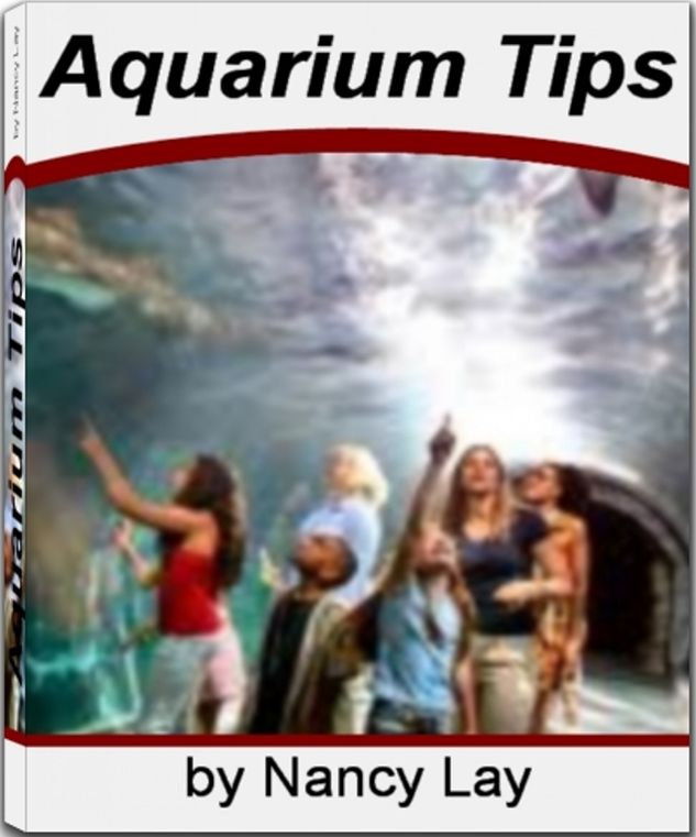 Aquarium Tips: Feast Your Eyes On The Best Source Book That Gives You Knock-Out Information about Sand Sharks, Marine Aquarium, Tropical Aquarium, Aquarium Algae