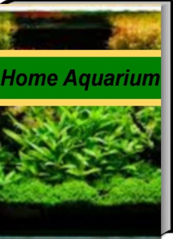 Home Aquarium: An Introductory Guide for Learning About Aquarium Catfish, Wall Mounted Aquarium, Aquarium Supplies, Aquarium Setup