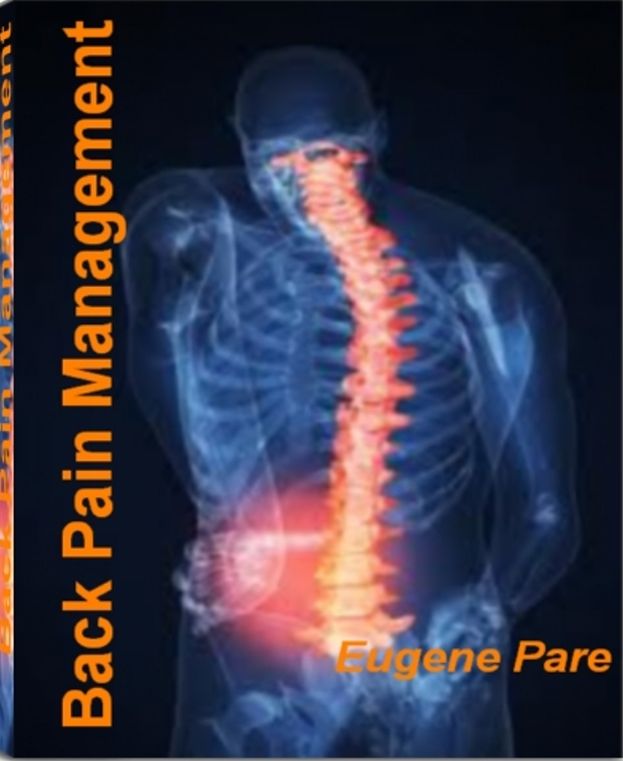 Back Pain Management: A Groundbreaking Approach to Eliminate Your Suffering With Bone Back Pain, Depression Back Pain, Gout Pain, Herniated Disk and More