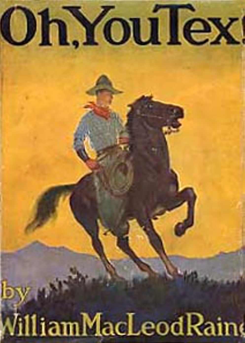 Oh, You Tex!: A Western, Fiction and Literature, Romance Classic By William MacLeod Raine! AAA+++