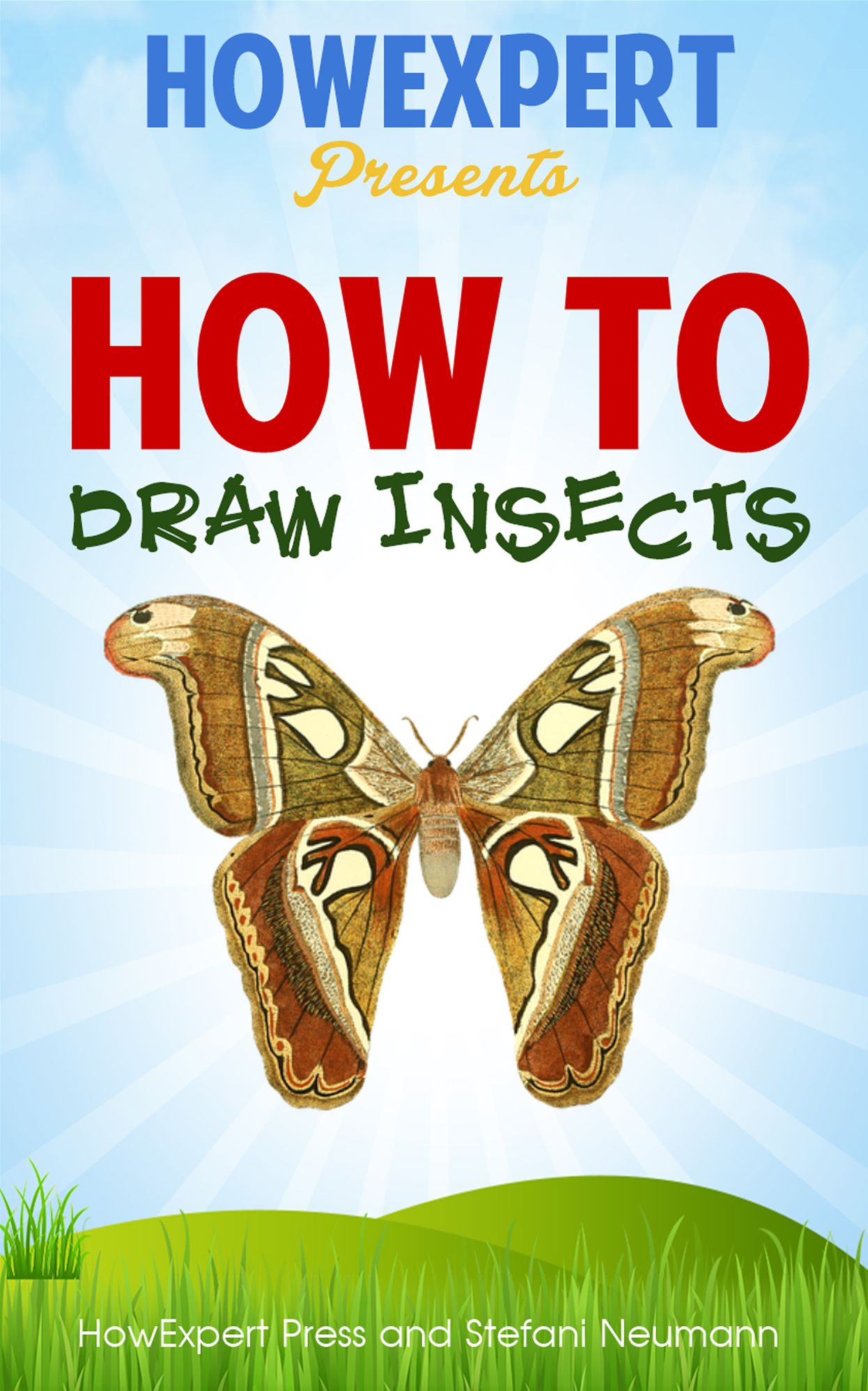 How To Draw Insects - Your Step-By-Step Guide To Drawing Insects