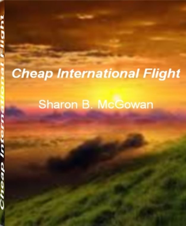 Cheap International Flight: An Irresistible Look Into The World of Corporate Jets, Airline Reservations, Fear of Flying, Flight Behavior, Cheap International Flight