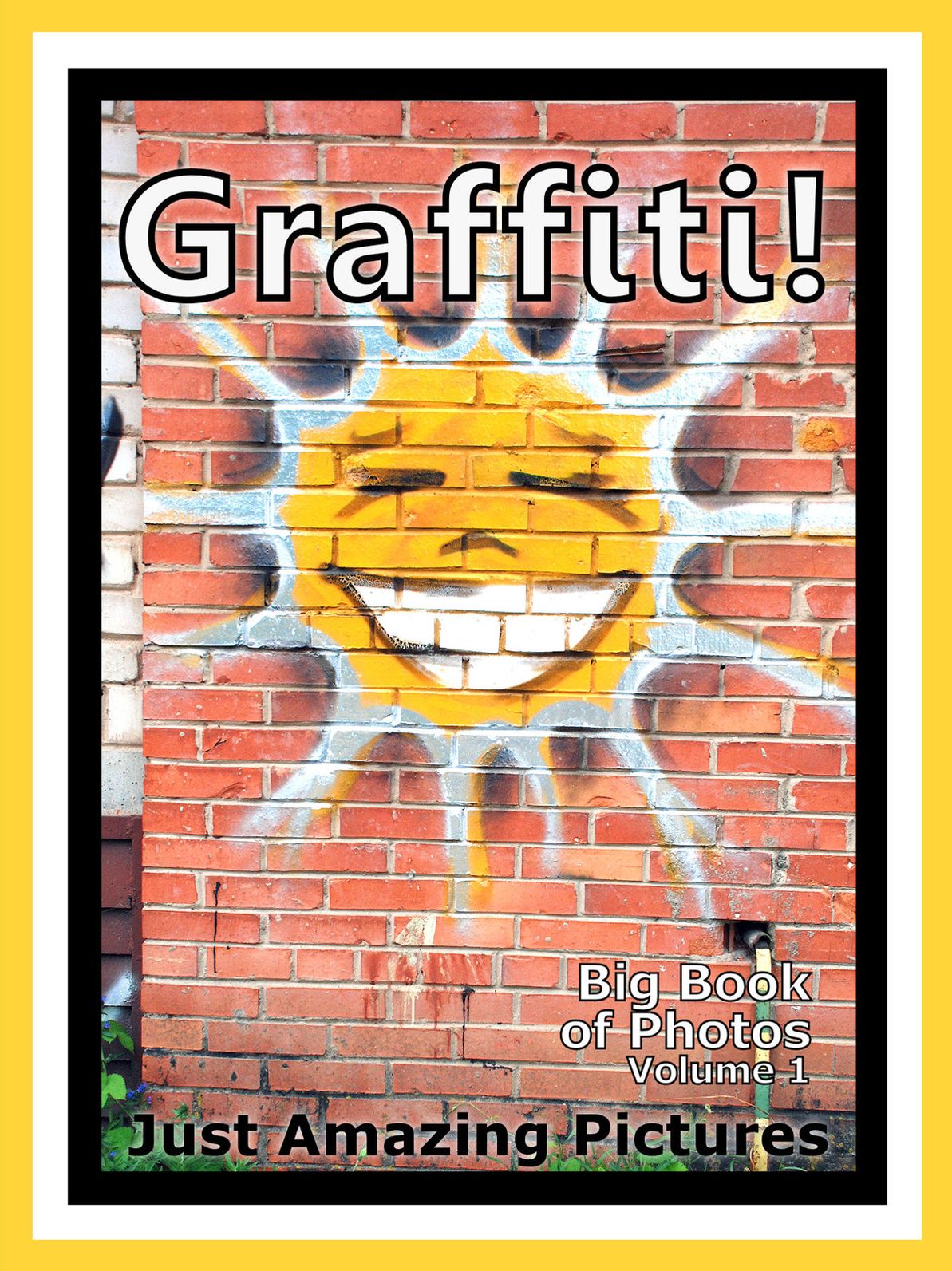 Just Graffiti Photos! Big Book of Photographs & Pictures of Graffiti Street Art, Vol. 1