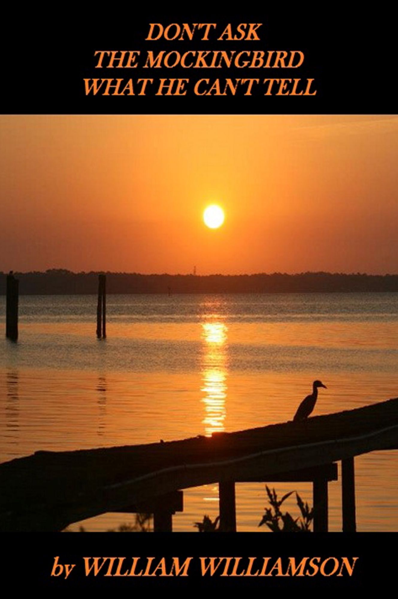 Don't Ask The Mockingbird, What He Can't Tell