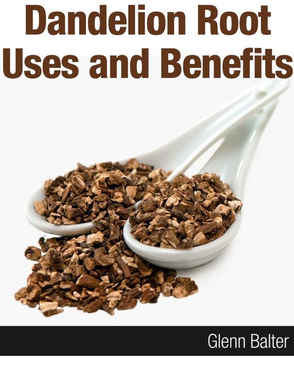 Dandelion Root Uses and Benefits