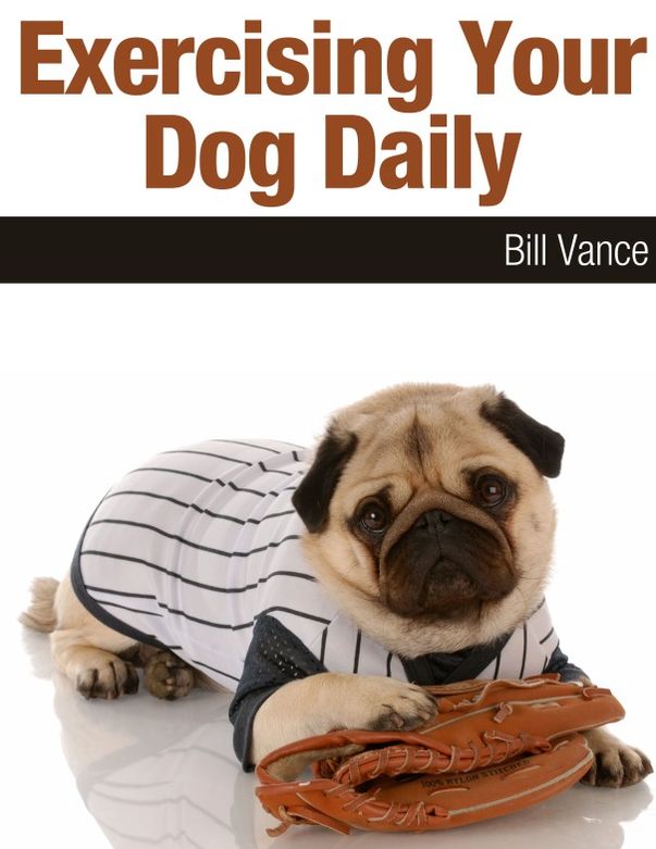 Exercising Your Dog Daily