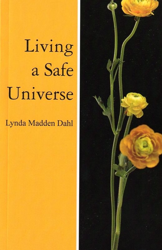 Living a Safe Universe: A Book for Seth Readers (Vol. 1)