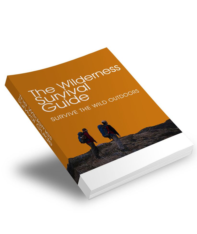 The Wilderness Survival Guide