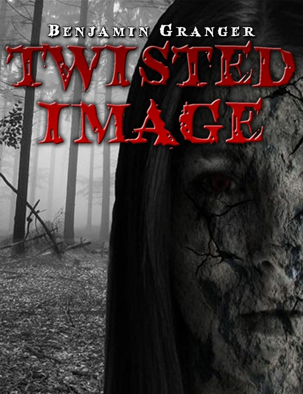 Twisted Image