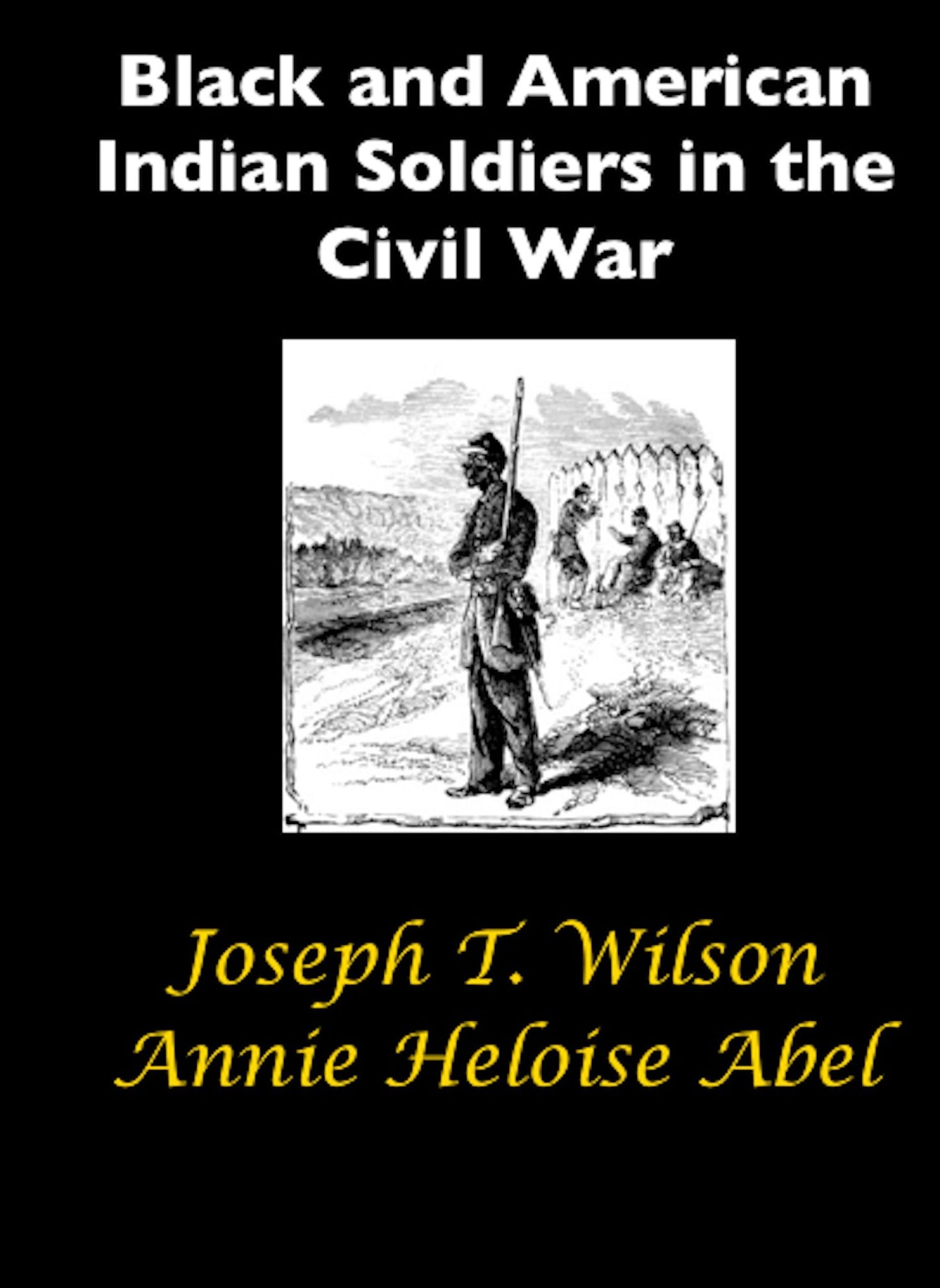 Black and Indian Soldiers in the Civil War