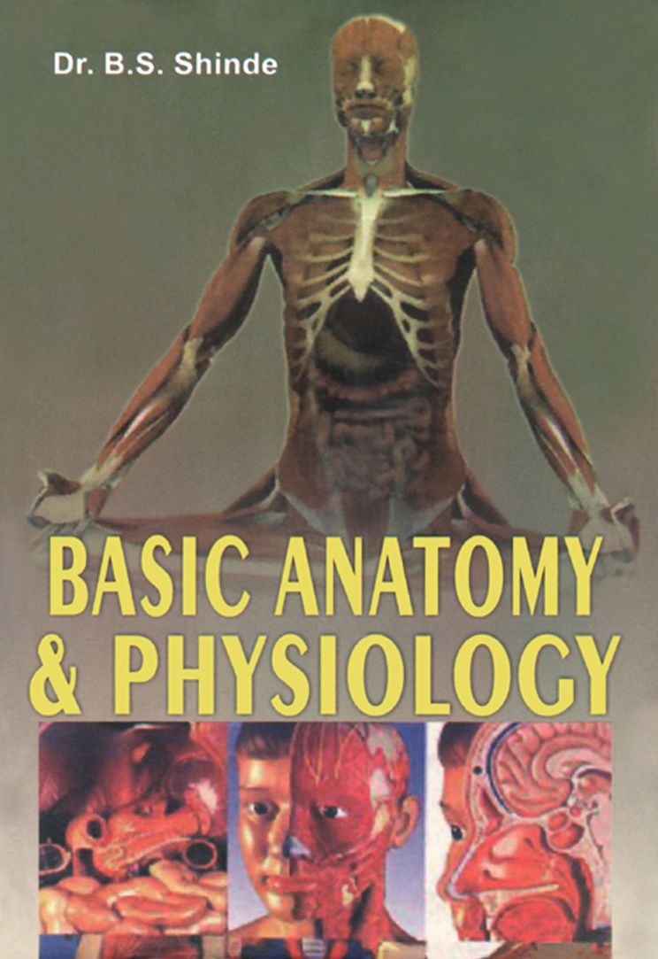 Basic Anatomy & Physiology
