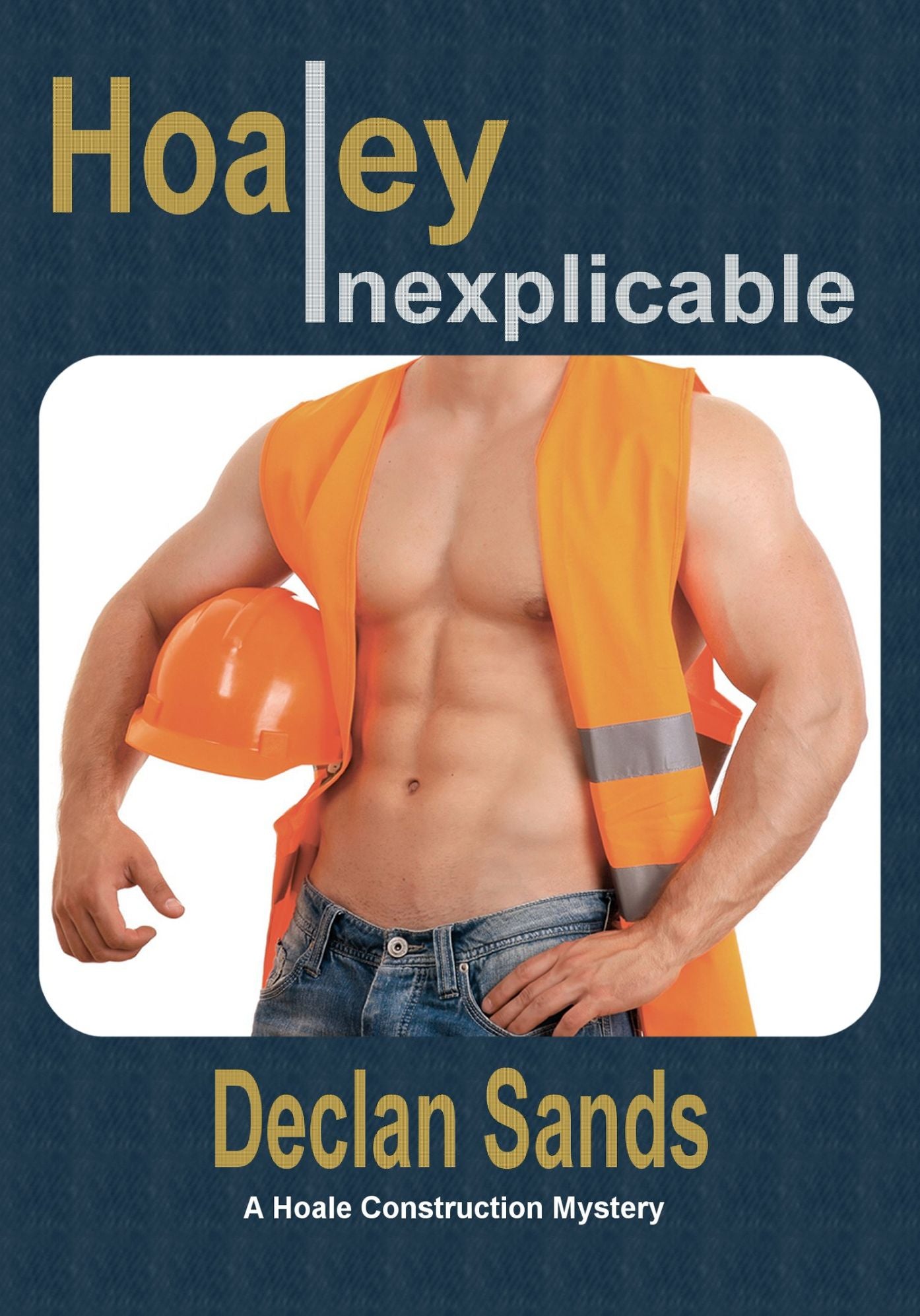 Hoaley Inexplicable [Gay Romantic Suspense and Mystery]