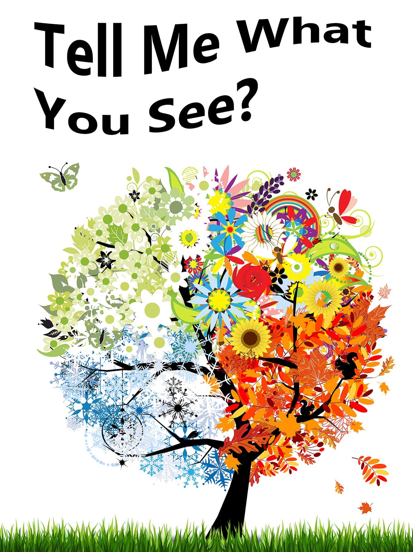 Oh Can You Tell Me What You See?