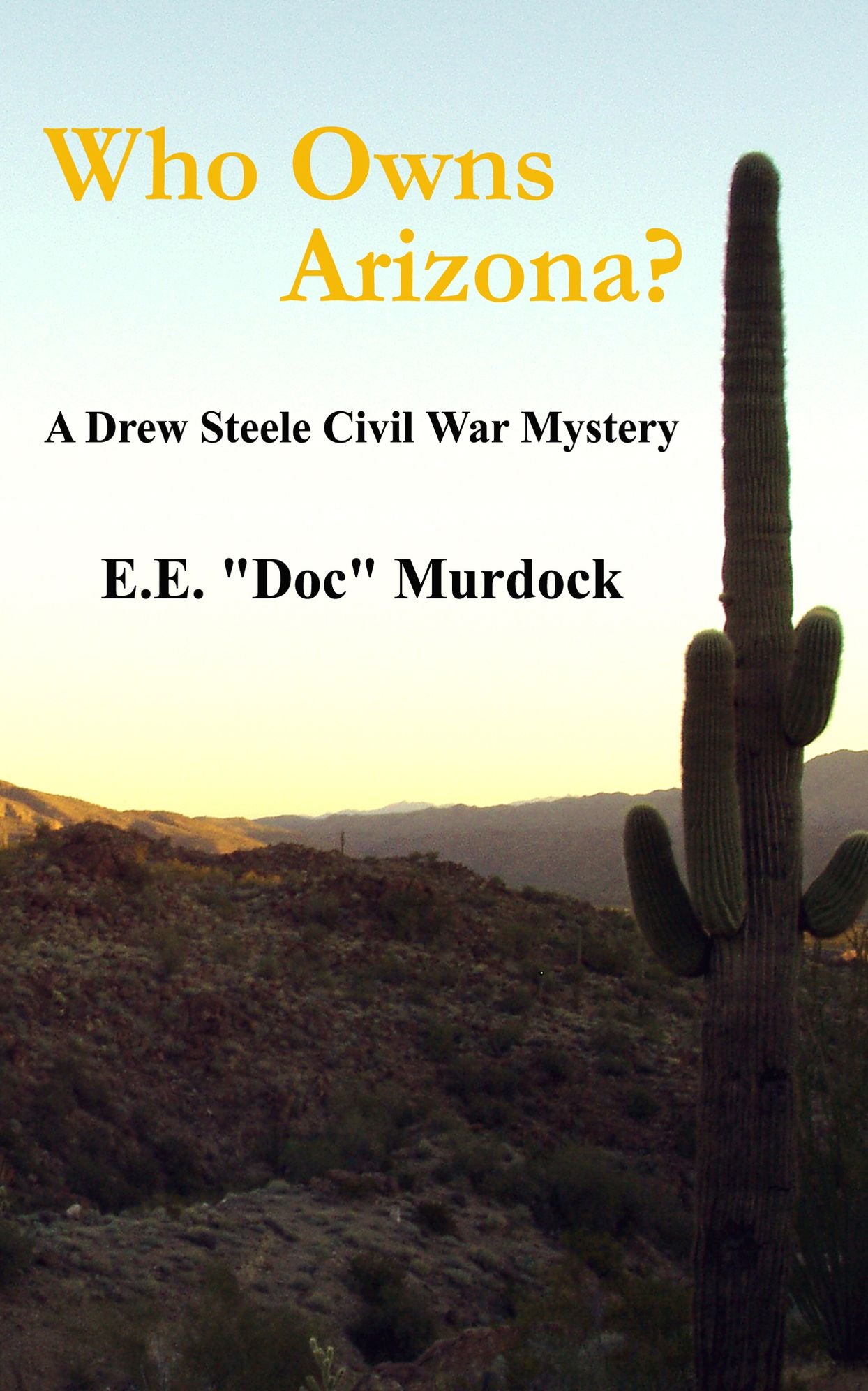 Who Owns Arizona? A Drew Steele Civil War Mystery