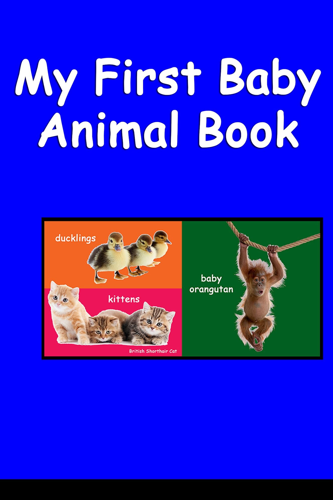 My First Baby Animal Book. An Animal Picture Book