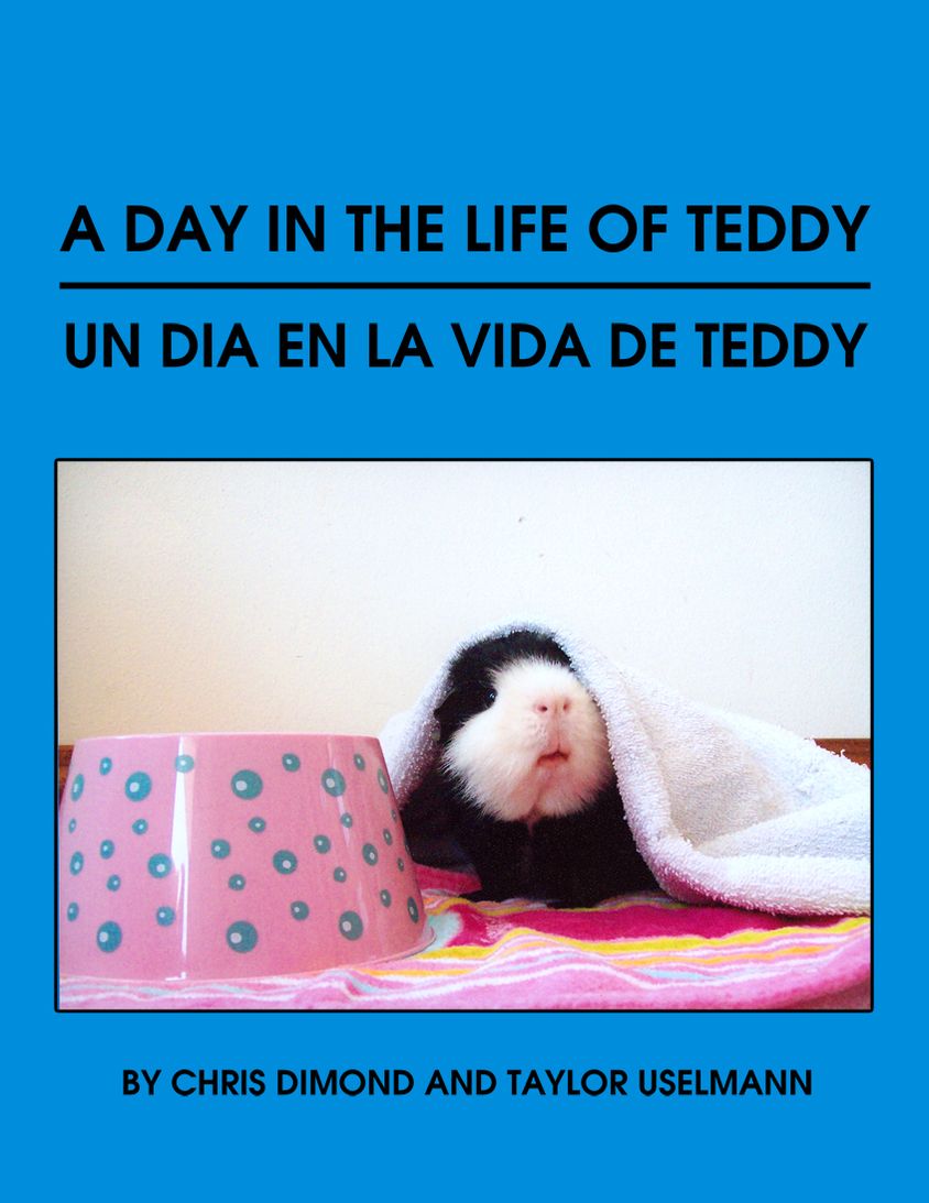 Un Dia en la Vida de Teddy/A Day in the Life of Teddy