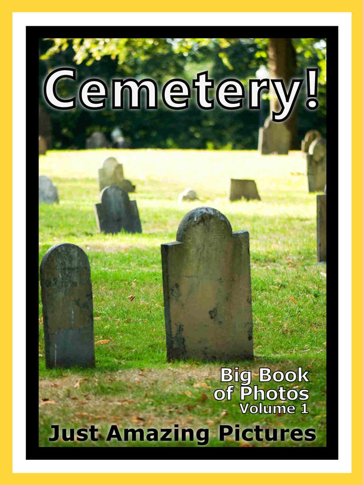 Just Cemetery Graveyard Photos! Big Book of Photographs & Pictures of Cemeteries, Graveyards, Tombs, Tombstones, & Headstones, Vol. 1