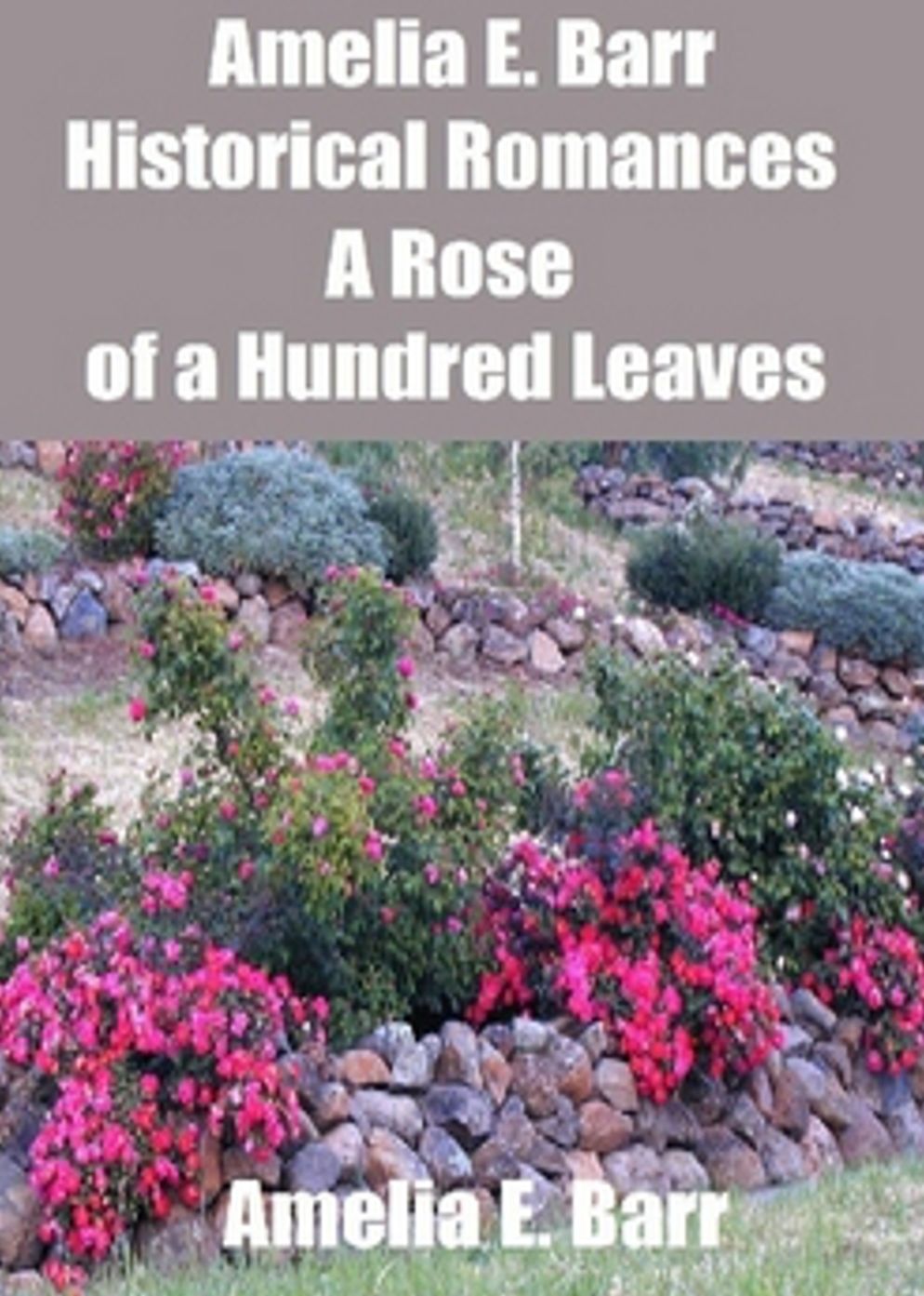 A Rose of a Hundred Leaves: A Love Story! A Romance Classic By Amelia Edith Barr! AAA+++