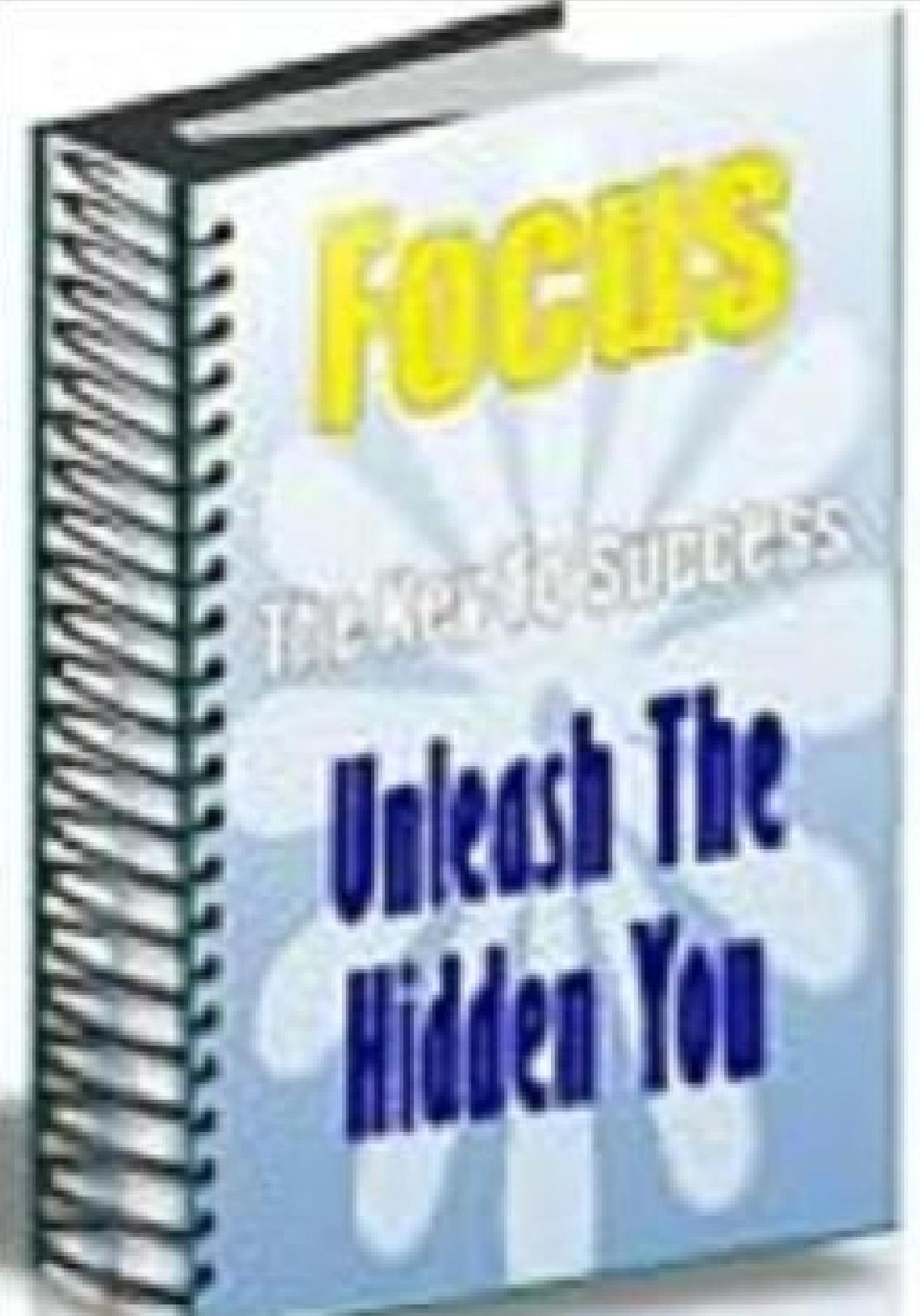 Focus: The Key To Success Unleash The Hidden You