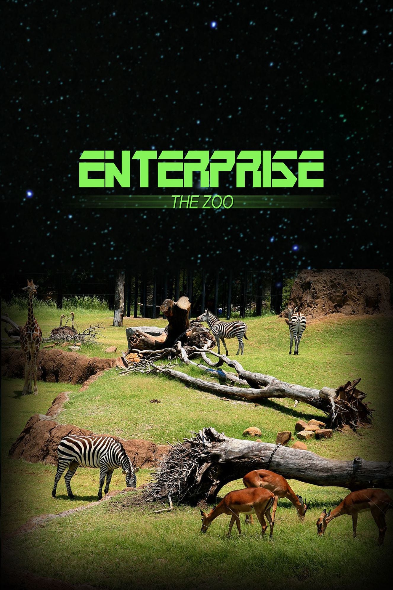 Enterprise: The Zoo