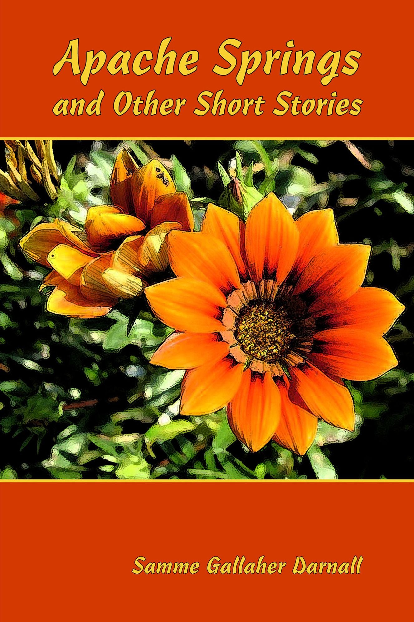 Apache Springs and Other Short Stories