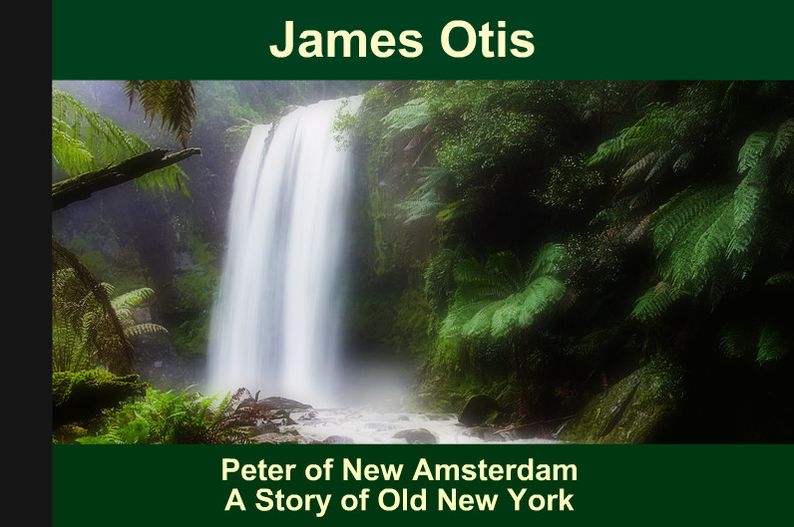 Peter of New Amsterdam A Story of Old New York