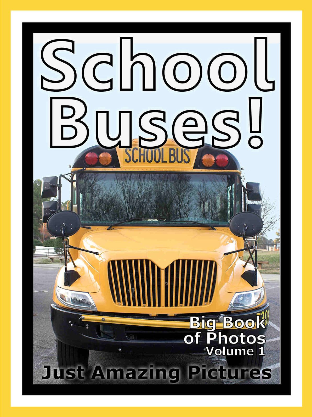 Just School Bus Photos! Big Book of Photographs & Pictures of School Buses, Vol. 1