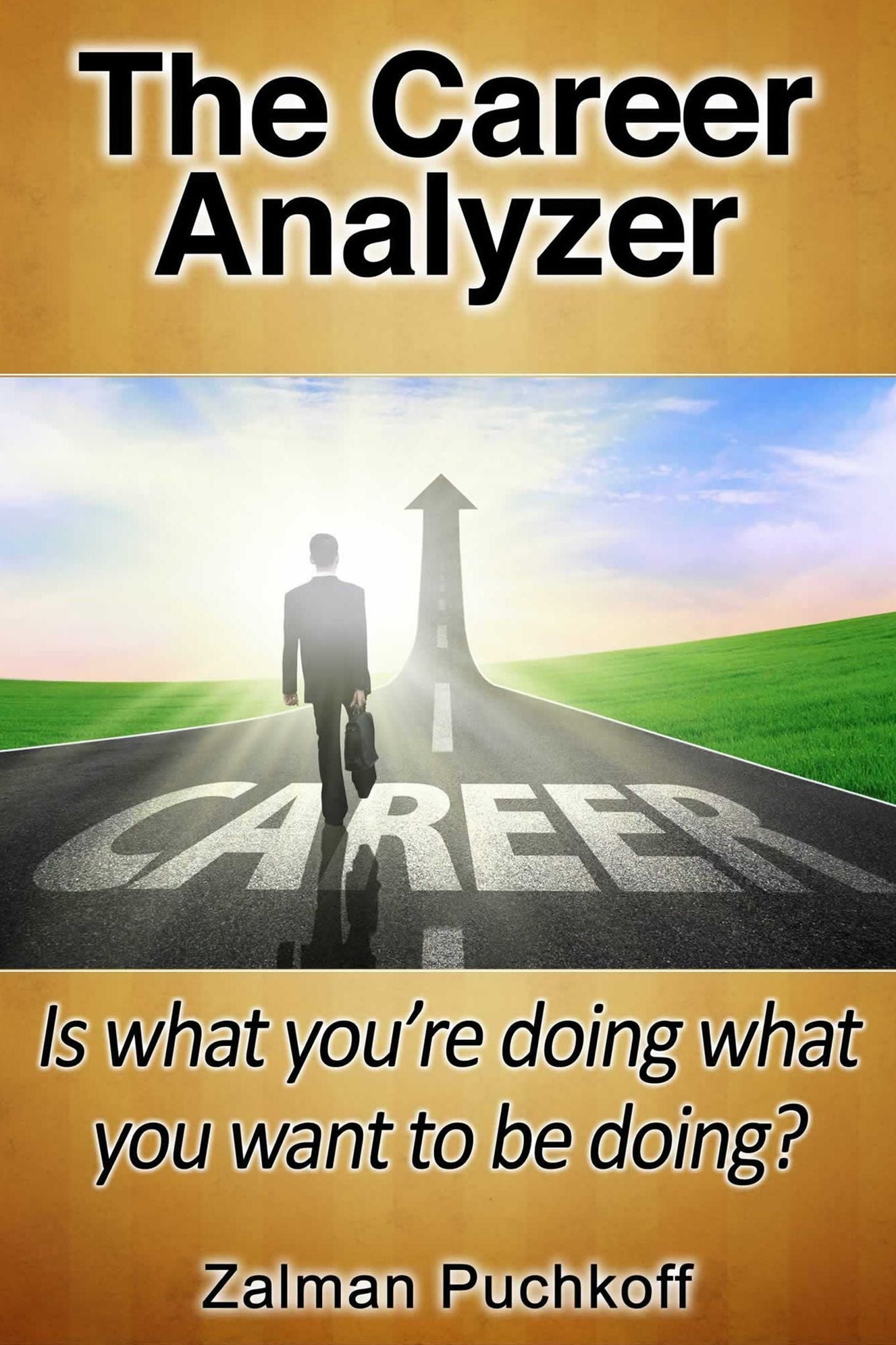 The Career Analyzer