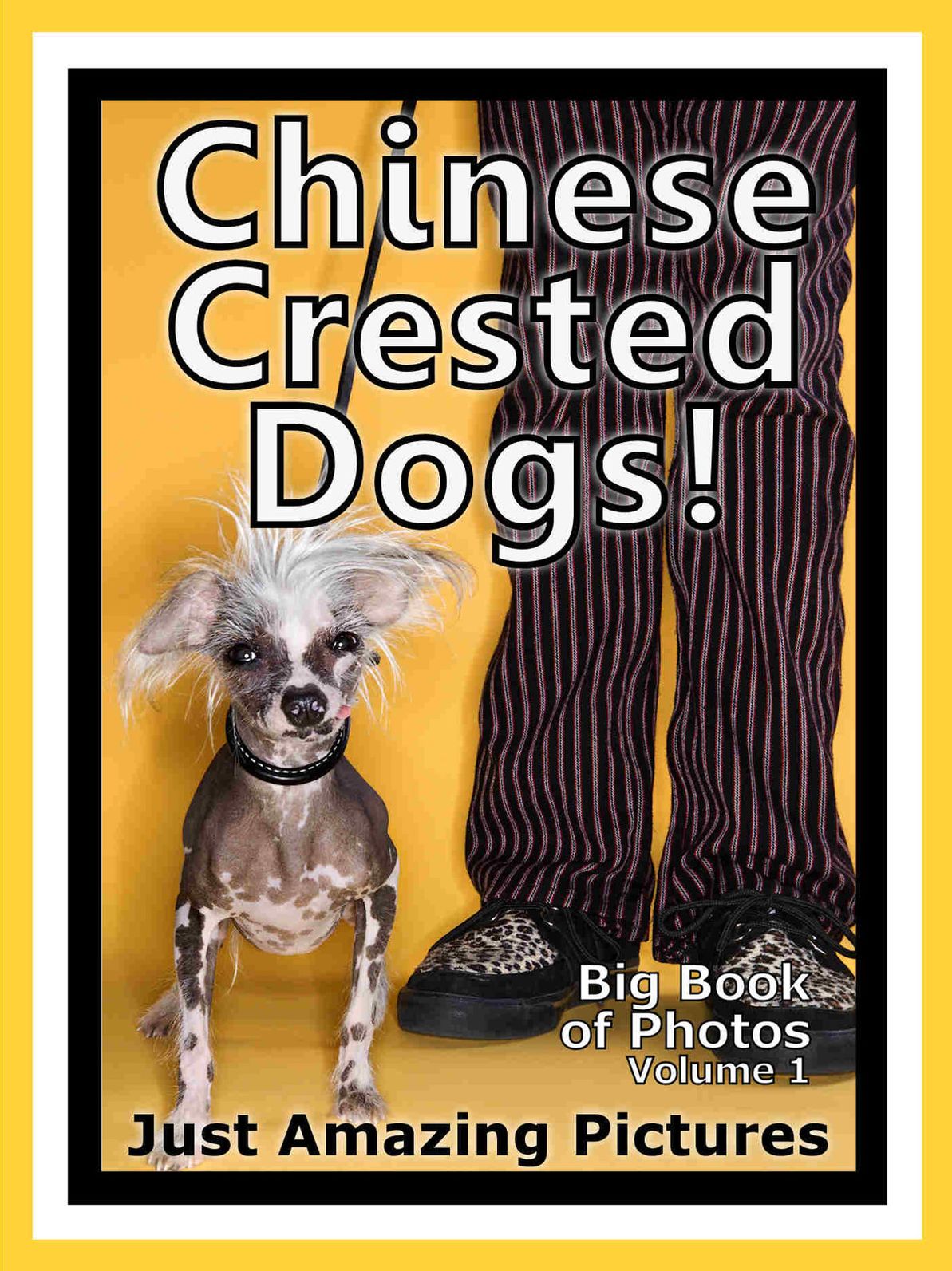 Just Chinese Crested Dog Photos! Big Book of Photographs & Pictures of Chinese Crested Dogs, Vol. 1