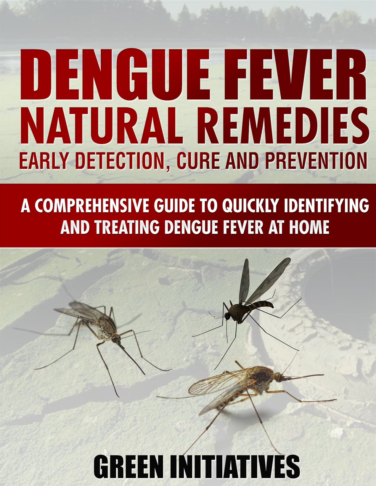 Dengue Fever Natural Remedies - A Comprehensive Guide to Identifying and Treating Dengue Fever at Home