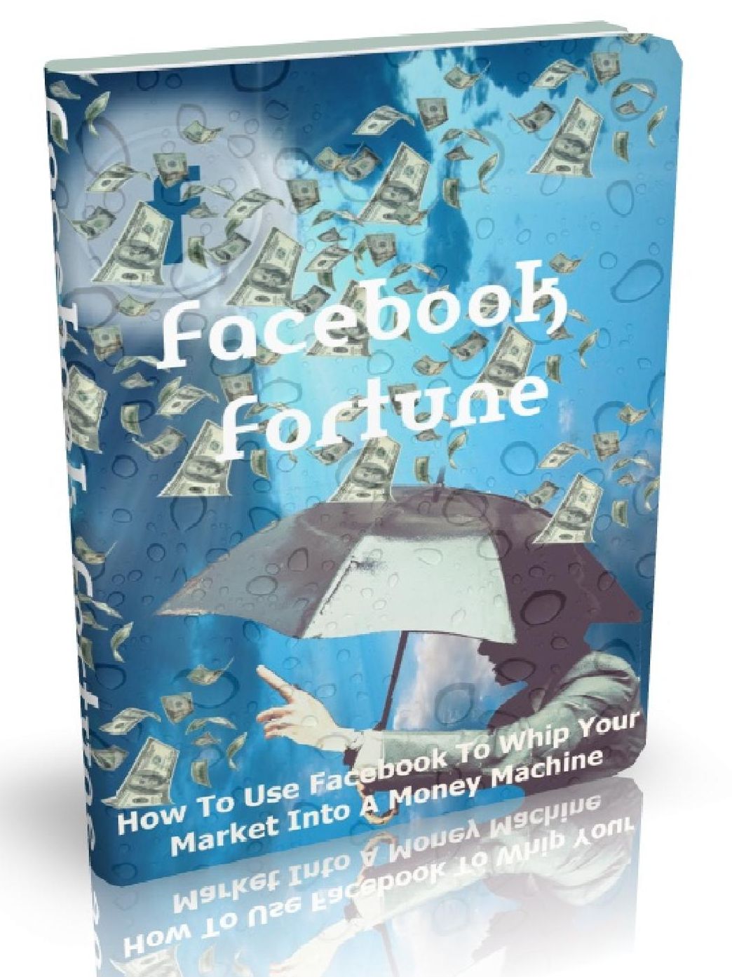 Facebook Fortune - How To Use Facebook To Whip Your Market Into A Money Machine