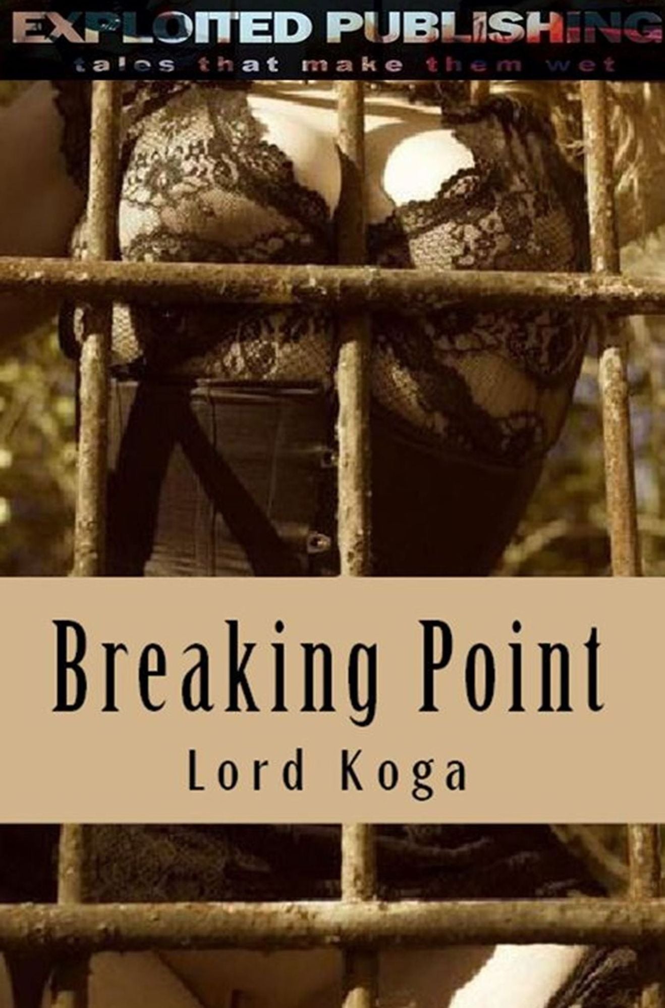 Breaking Point: A Tale of Rough, Hard, Forced Seduction & Submission