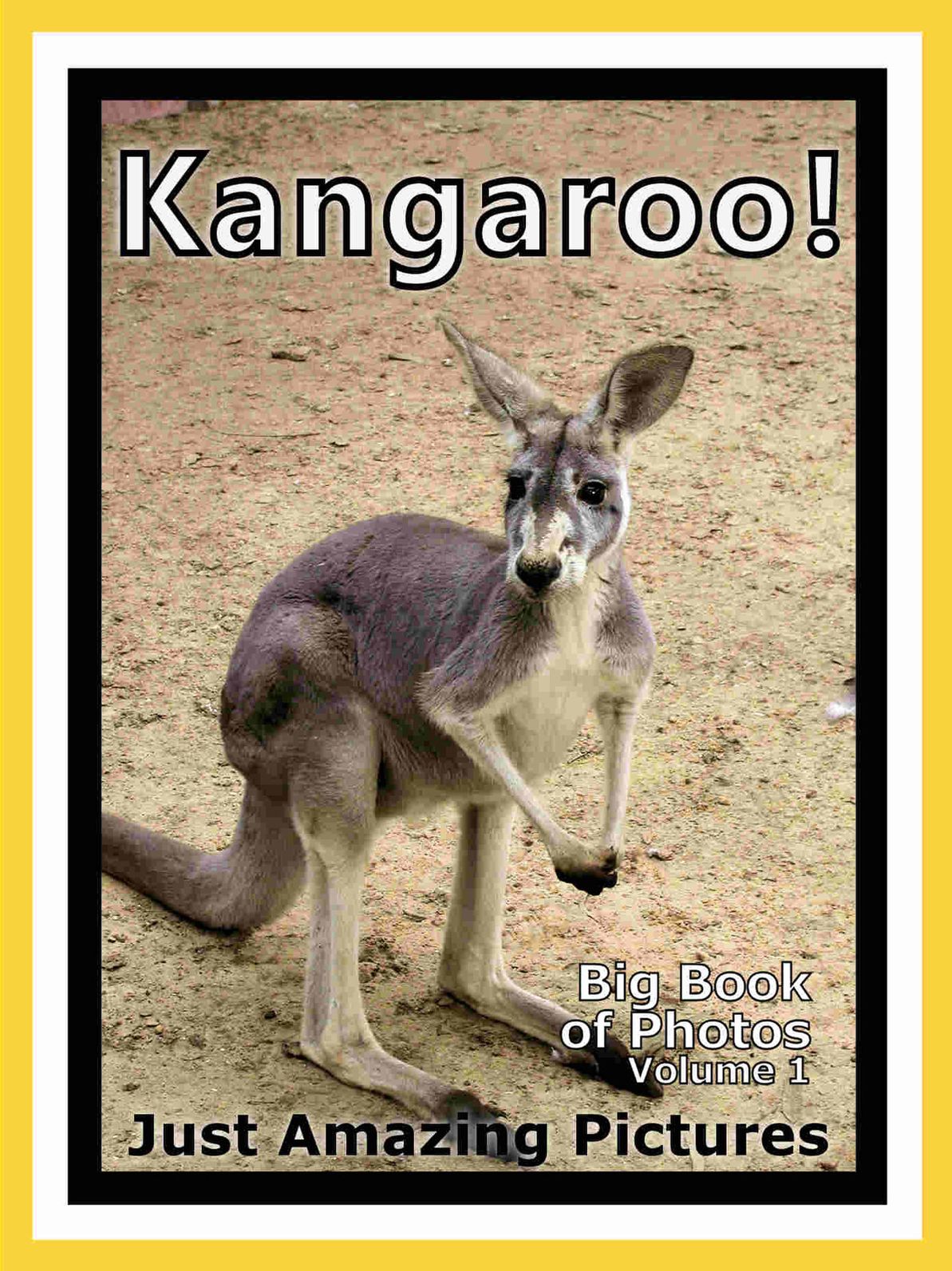 Just Kangaroo Photos! Big Book of Photographs & Pictures of Kangaroos, Vol. 1