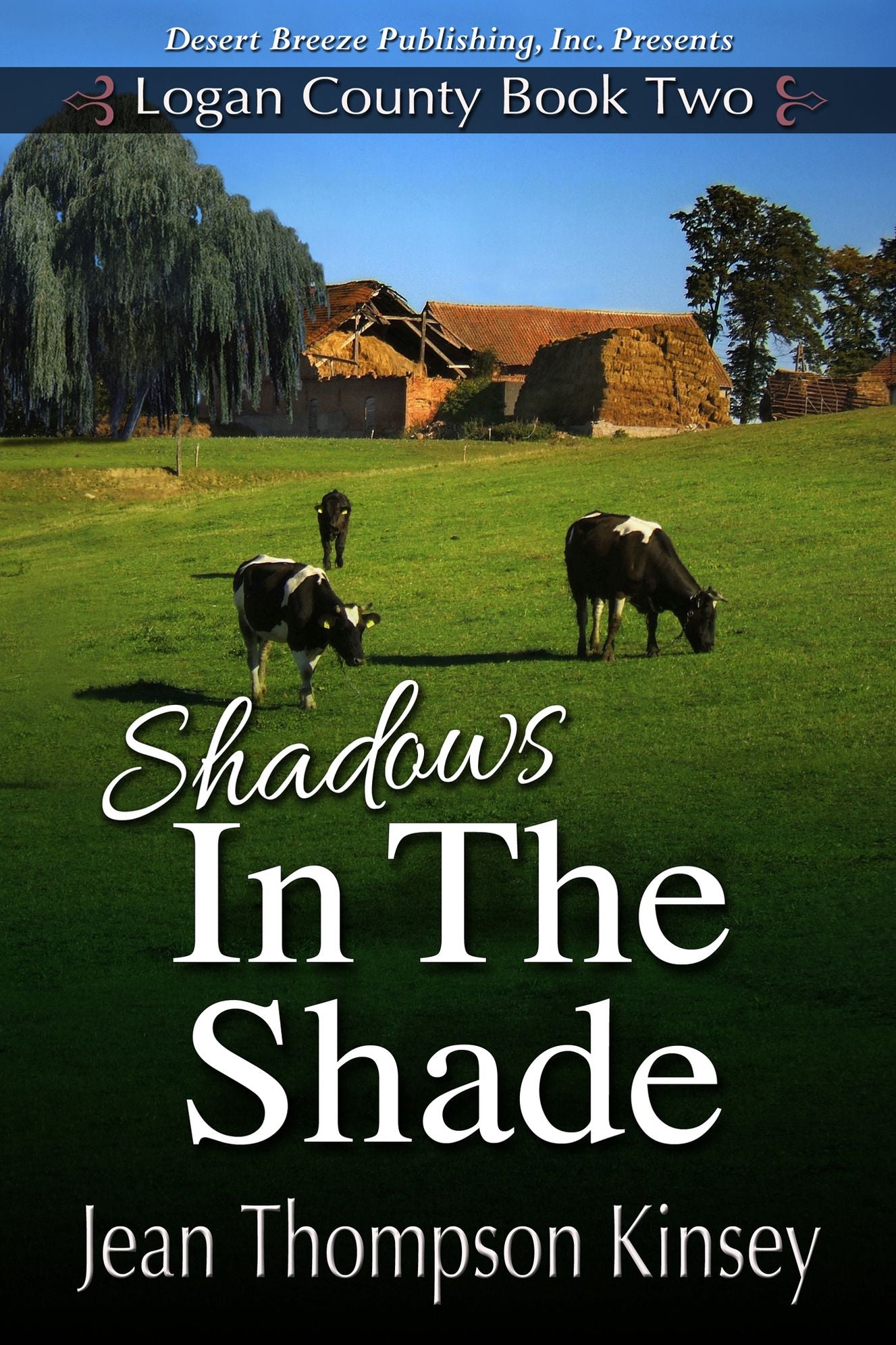Shadows in the Shade