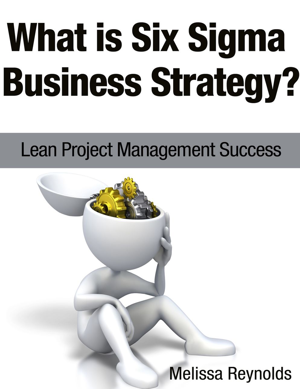 What is Six Sigma Business Strategy Lean Project Management Success