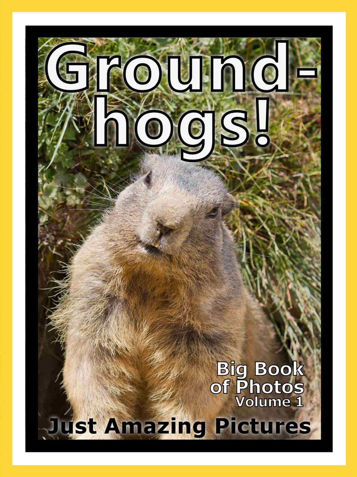 Just Groundhog Photos! Big Book of Photographs & Pictures of Groundhogs, Vol. 1