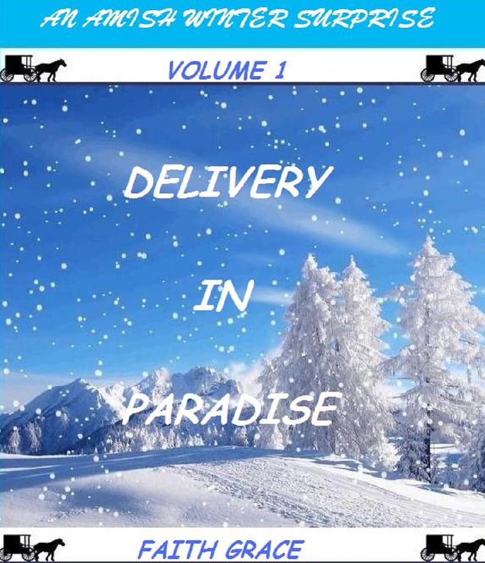 An Amish Winter Surprise: Volume One: Delivery in Paradise