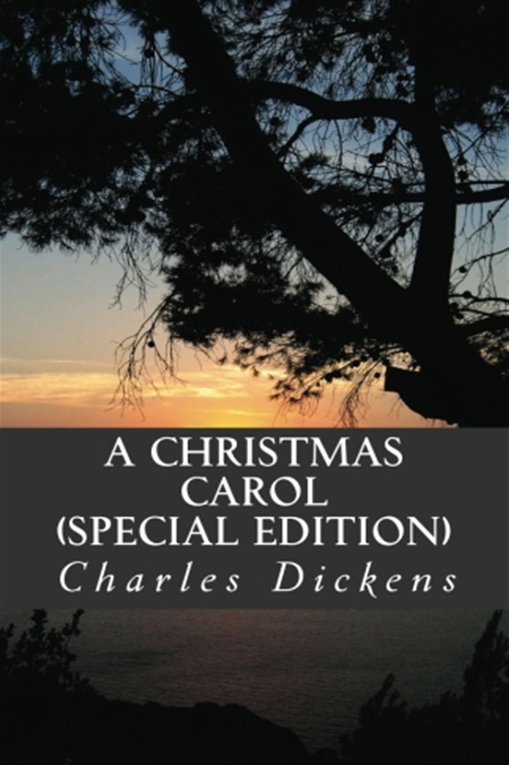 A Christmas Carol (Special Edition)