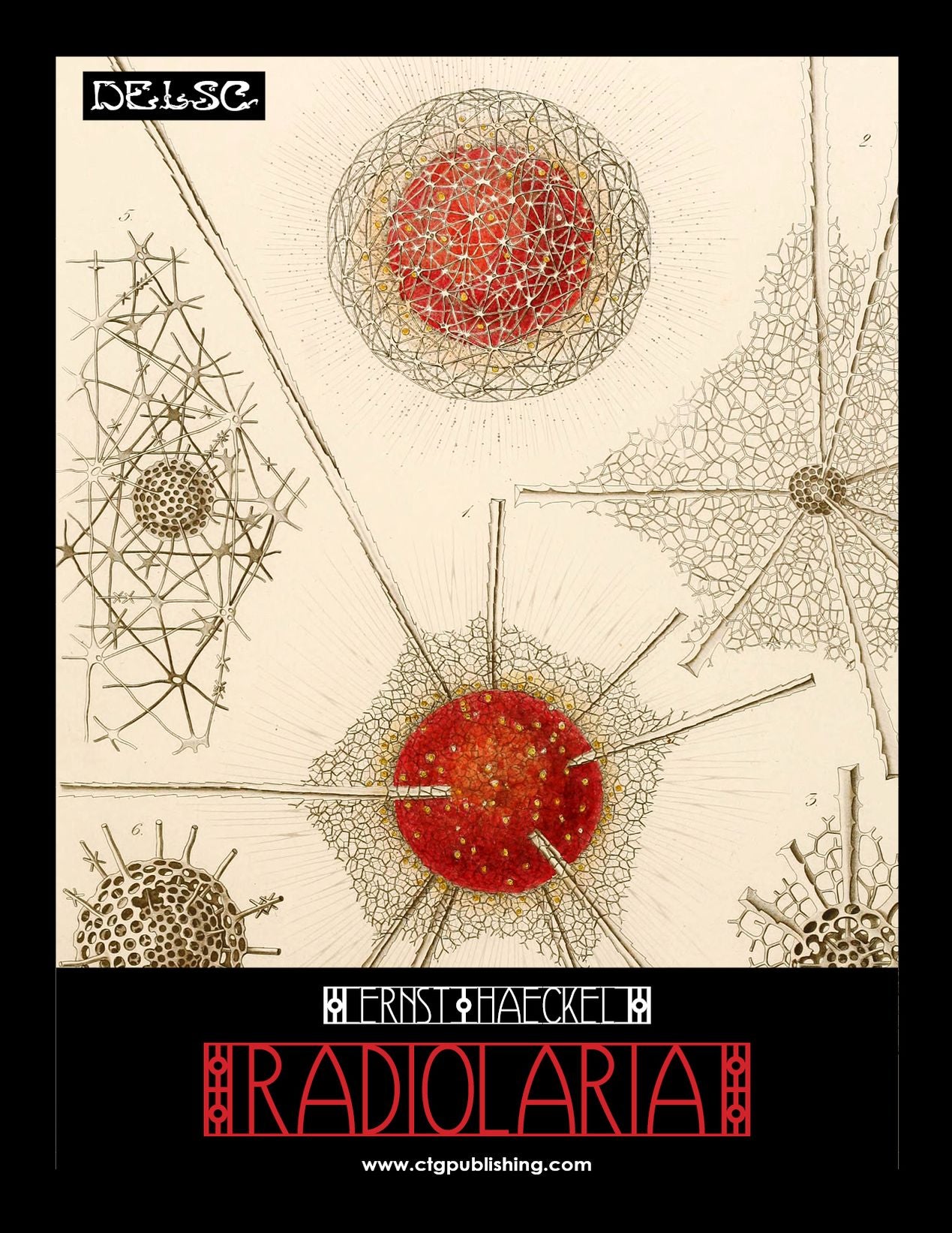 Ernst Haeckel Inspired by Nature