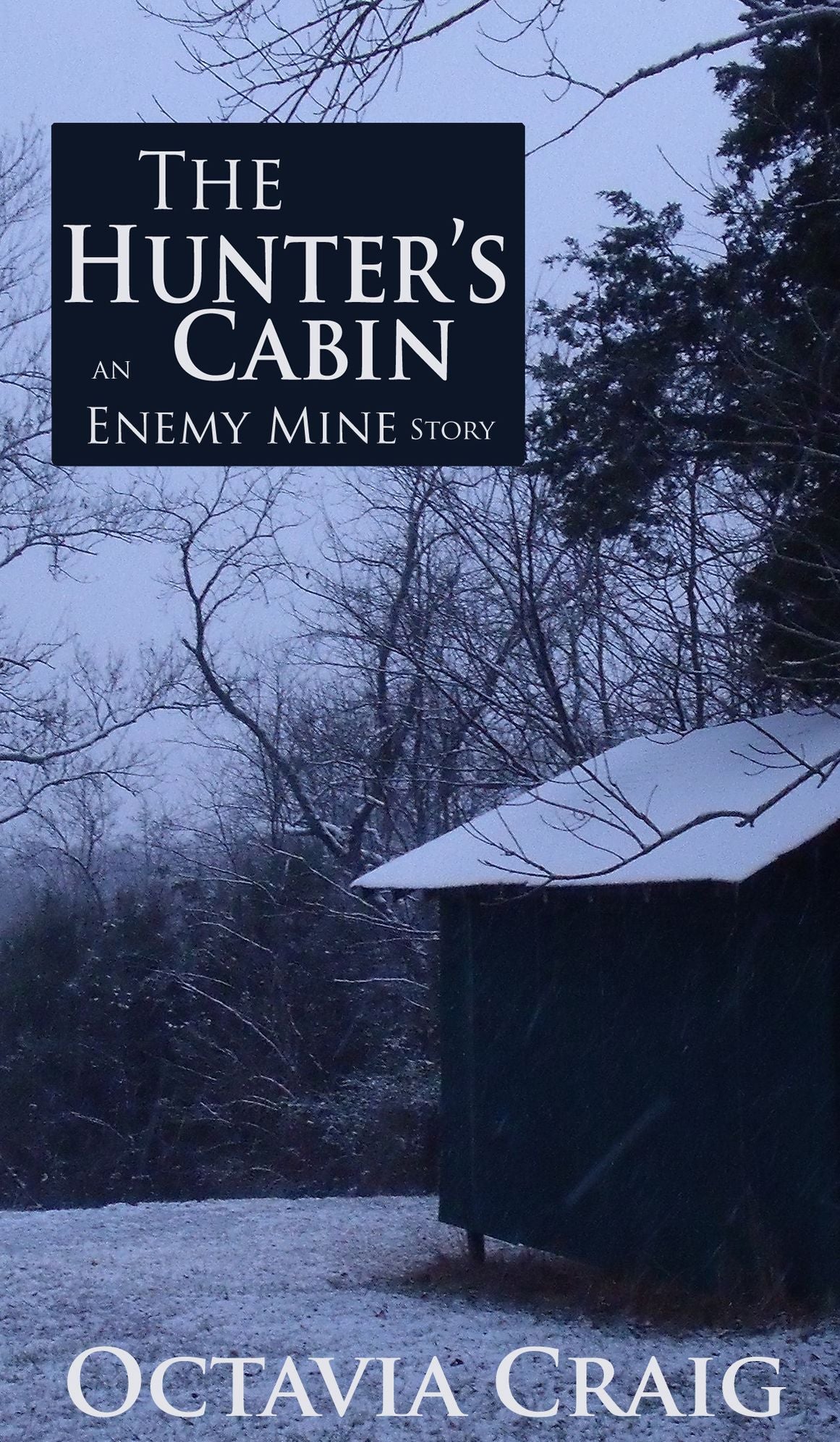 The Hunter's Cabin